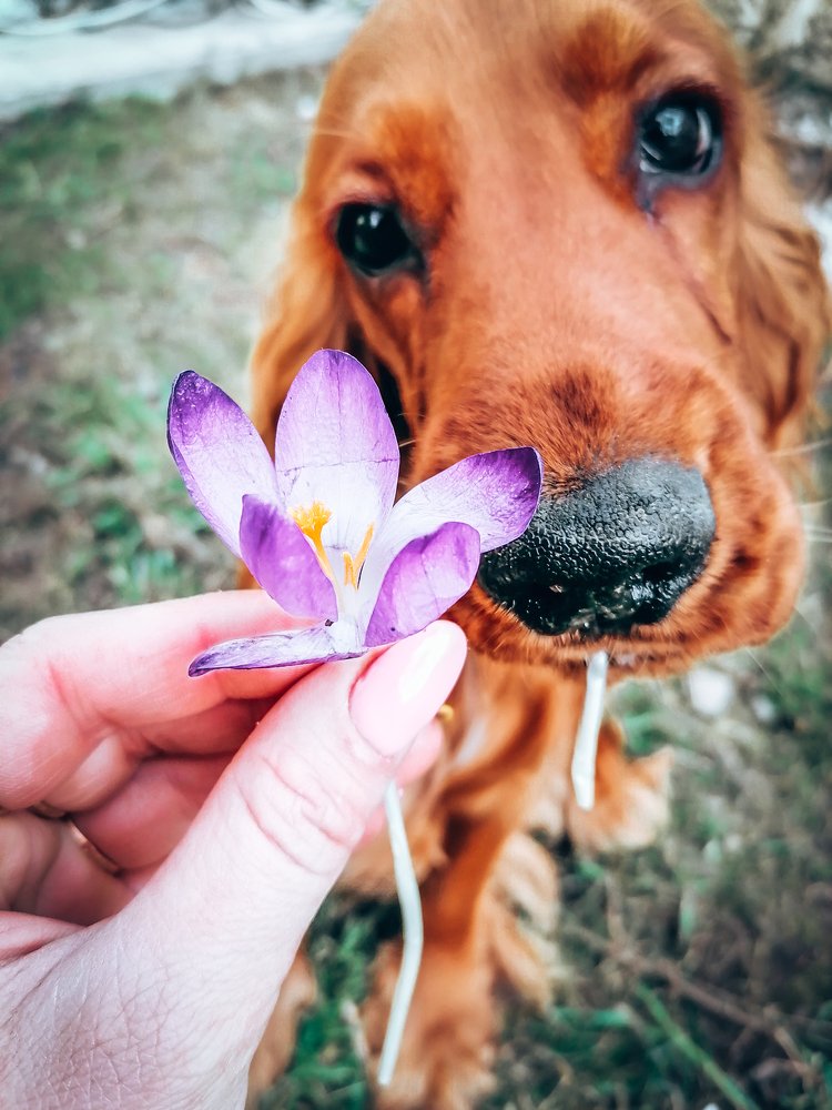 Photograph by Валентина Новобранец