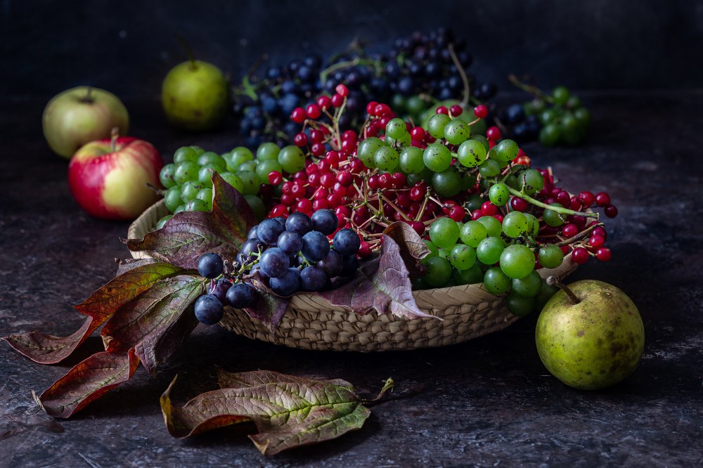 Фотография автора Дмитрий Герц
