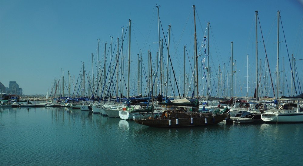 Photograph by ilia kolosov