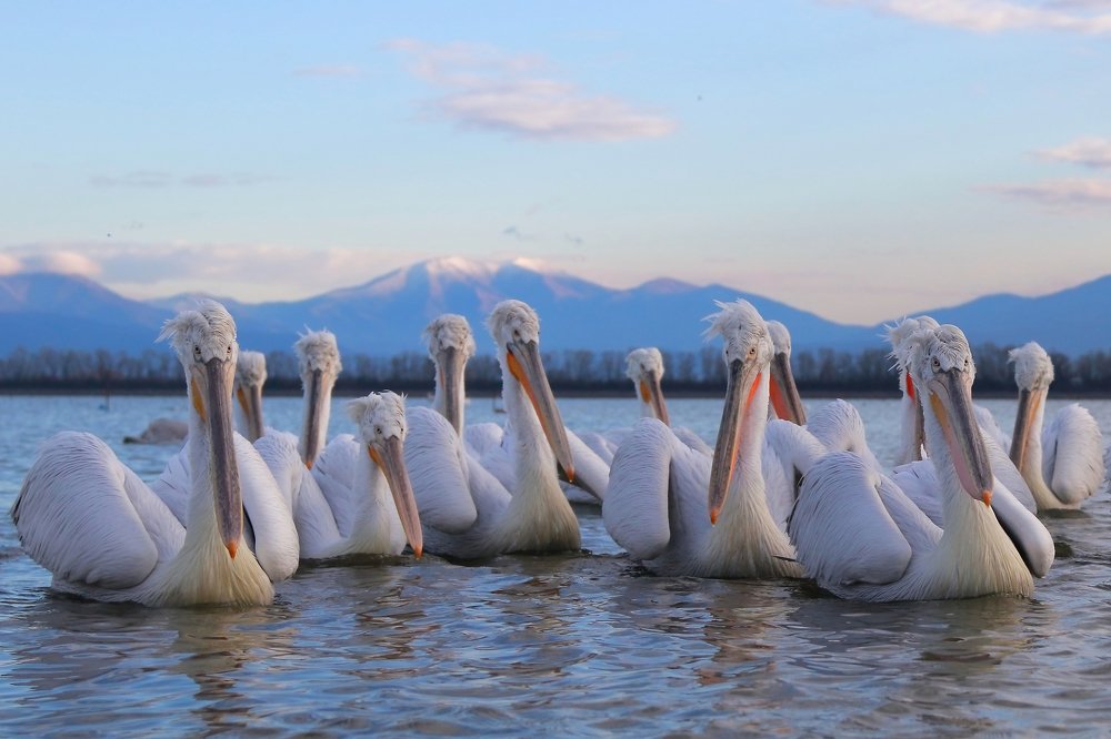 Photograph by Piotr Warzecha