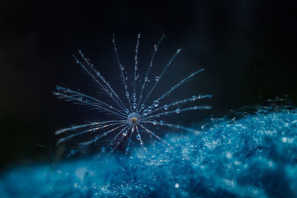 Фотография автора Summerlin