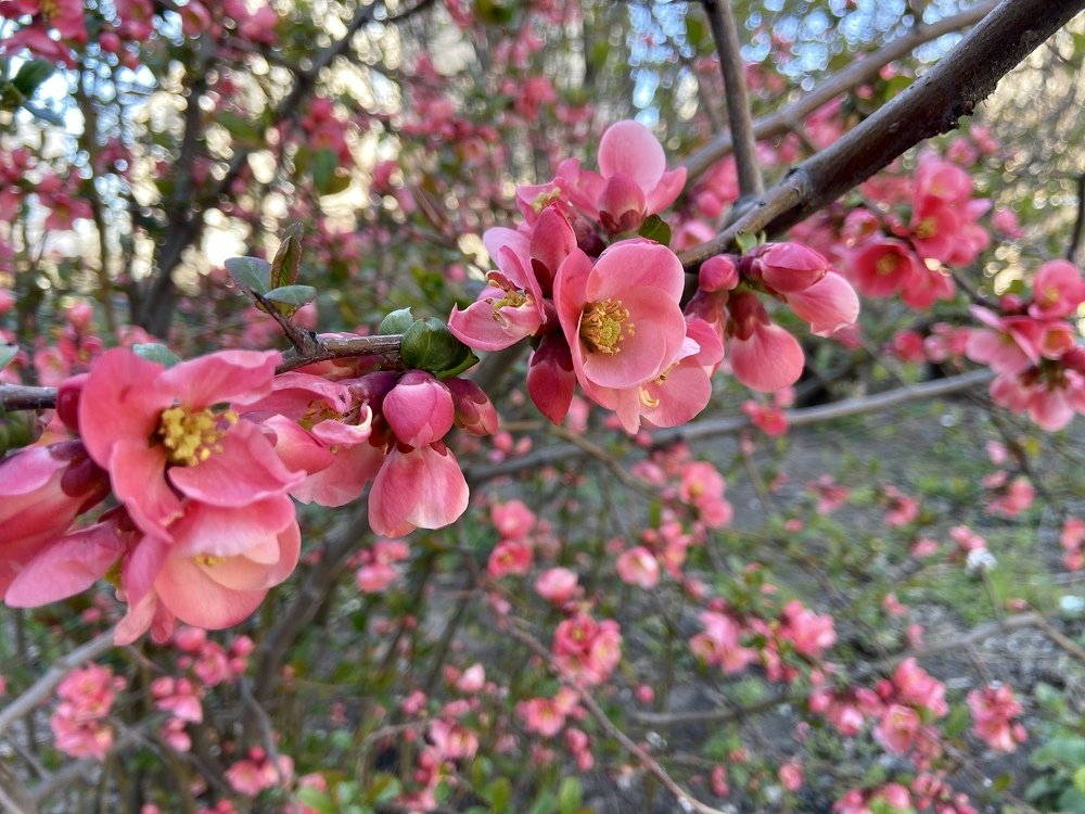 Photograph by Александр Грецев