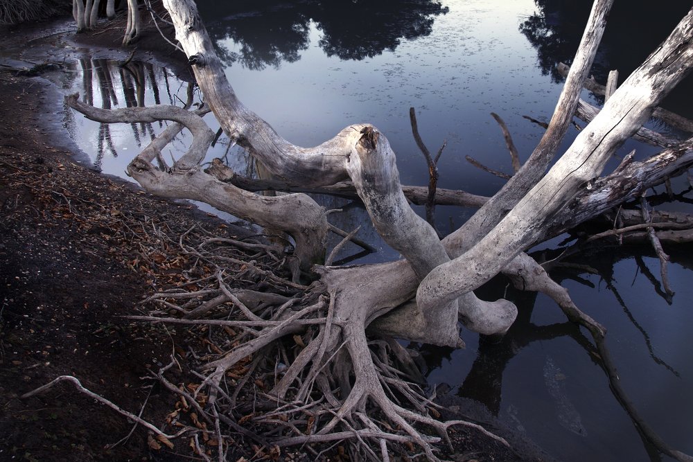 Про любовь!