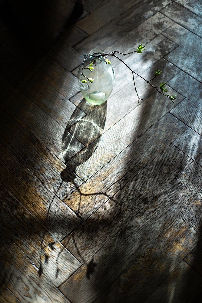 Photograph by Алёна Таланова