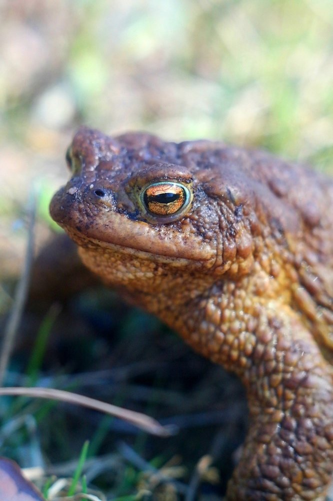 Photograph by алексей пережогин