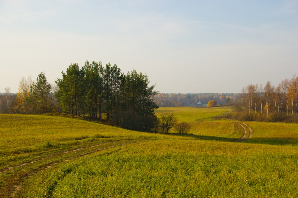просёлочная дорога