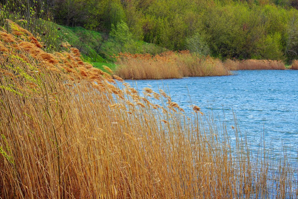 Photograph by Евгений Домовой