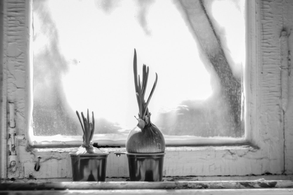 Двое в изоляции