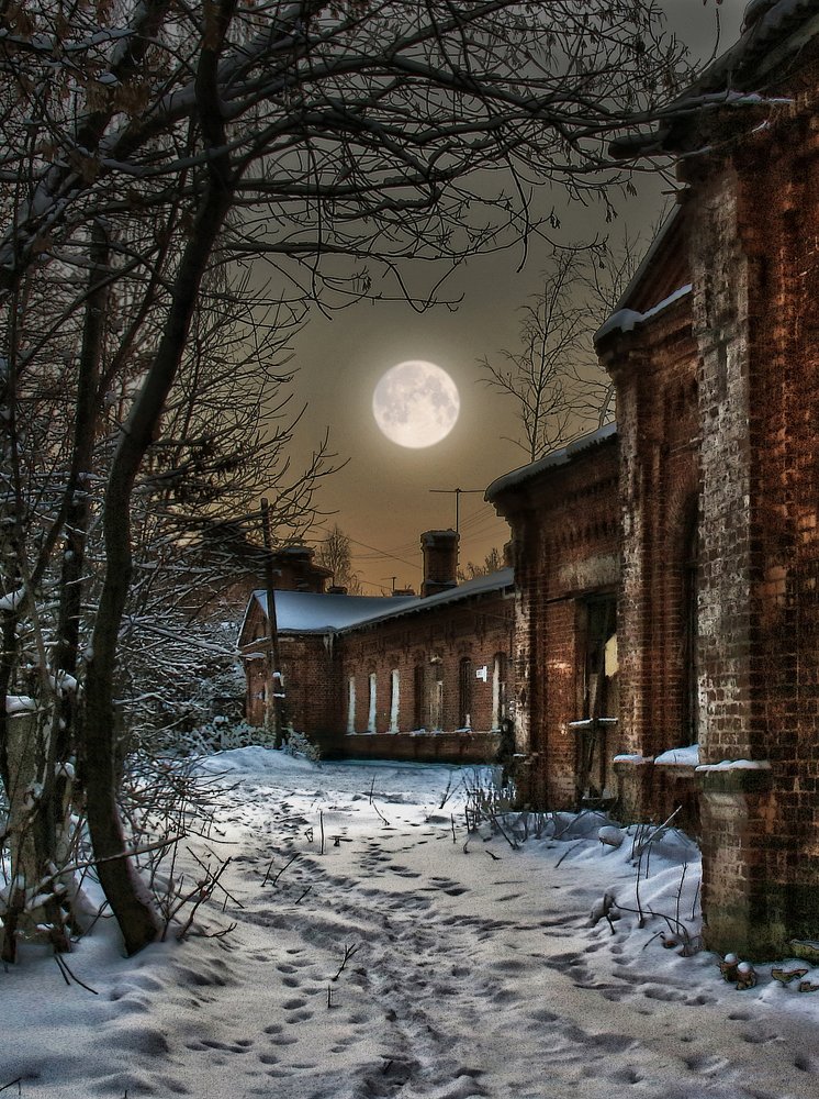 Photograph by Юлия Мазуркевич