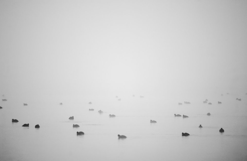 Photograph by Alba Zoe Gržin