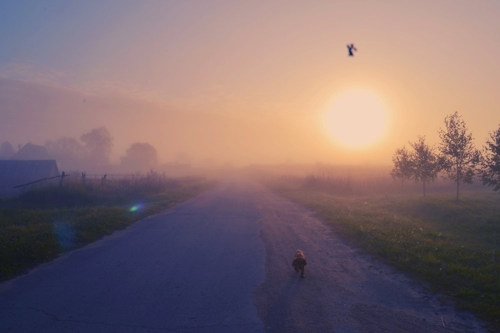 Photograph by Валентина Новобранец