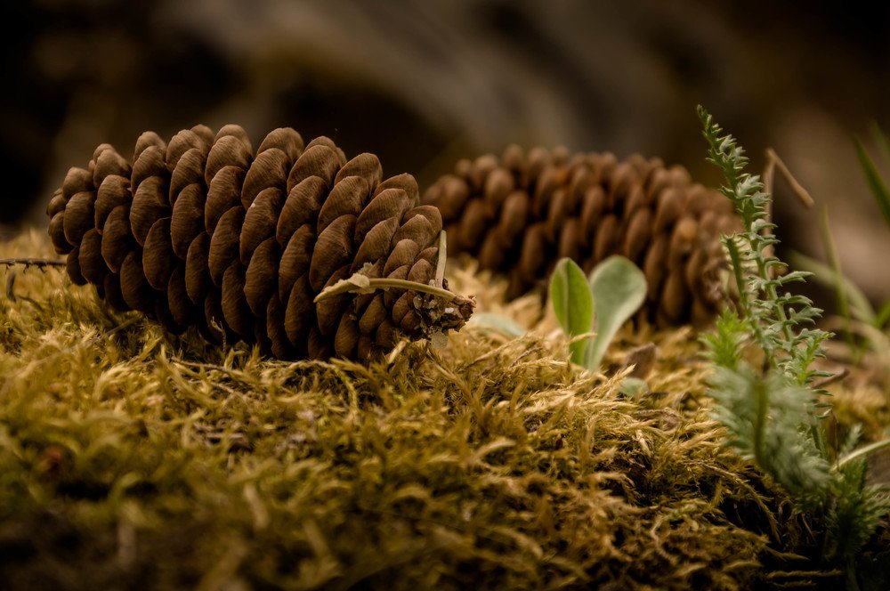 Photograph by Вадим Басов