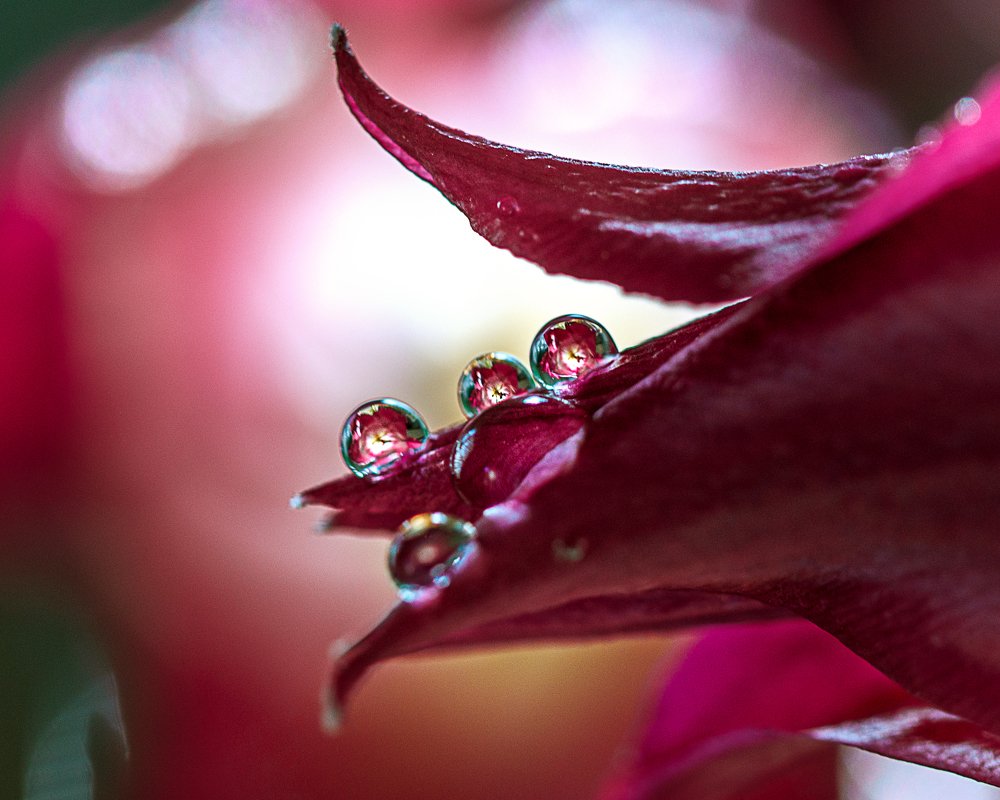 Photograph by Дарья Терещенко