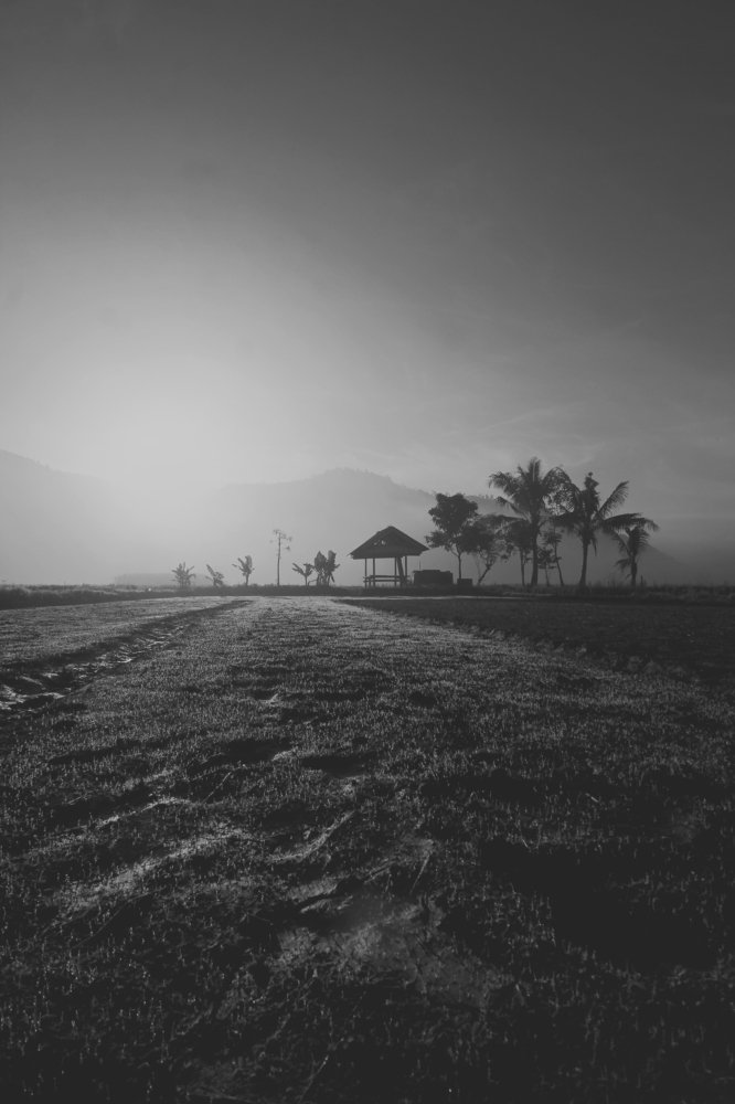 Photograph by Hariansyah Teguh