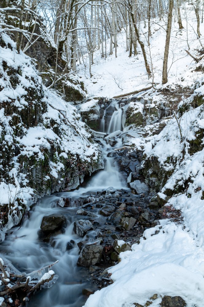 Photograph by Sergey Larin