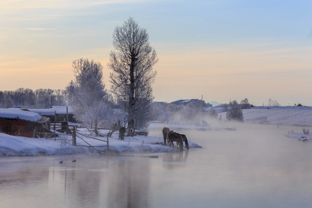 Photograph by виктор ковчин