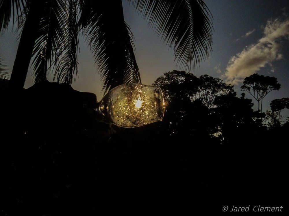 Photograph by Jared Clement