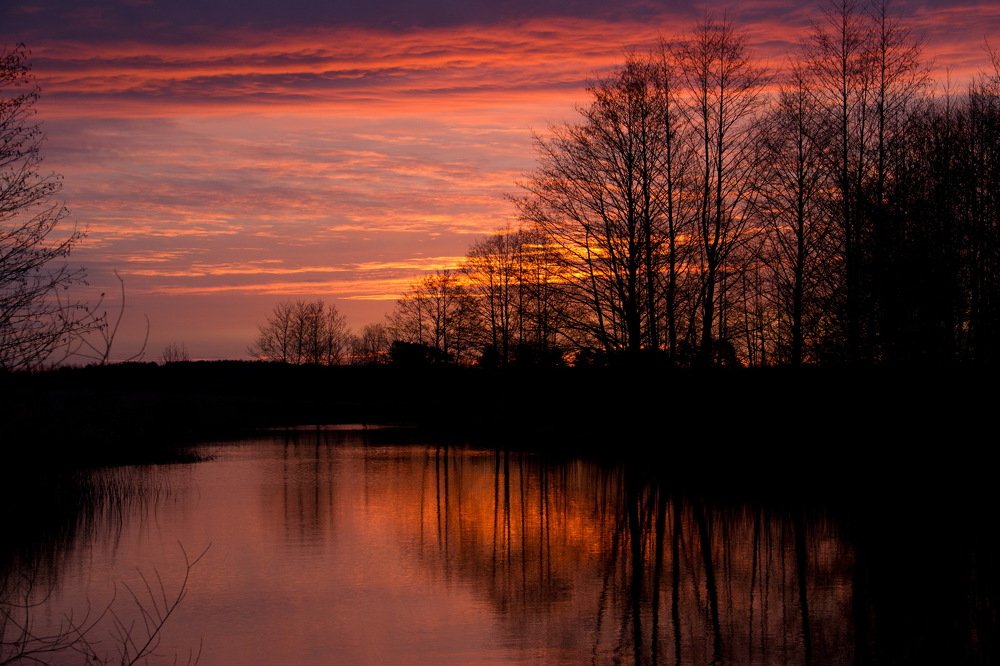 Photograph by Анна-Лаймуте Милошевич