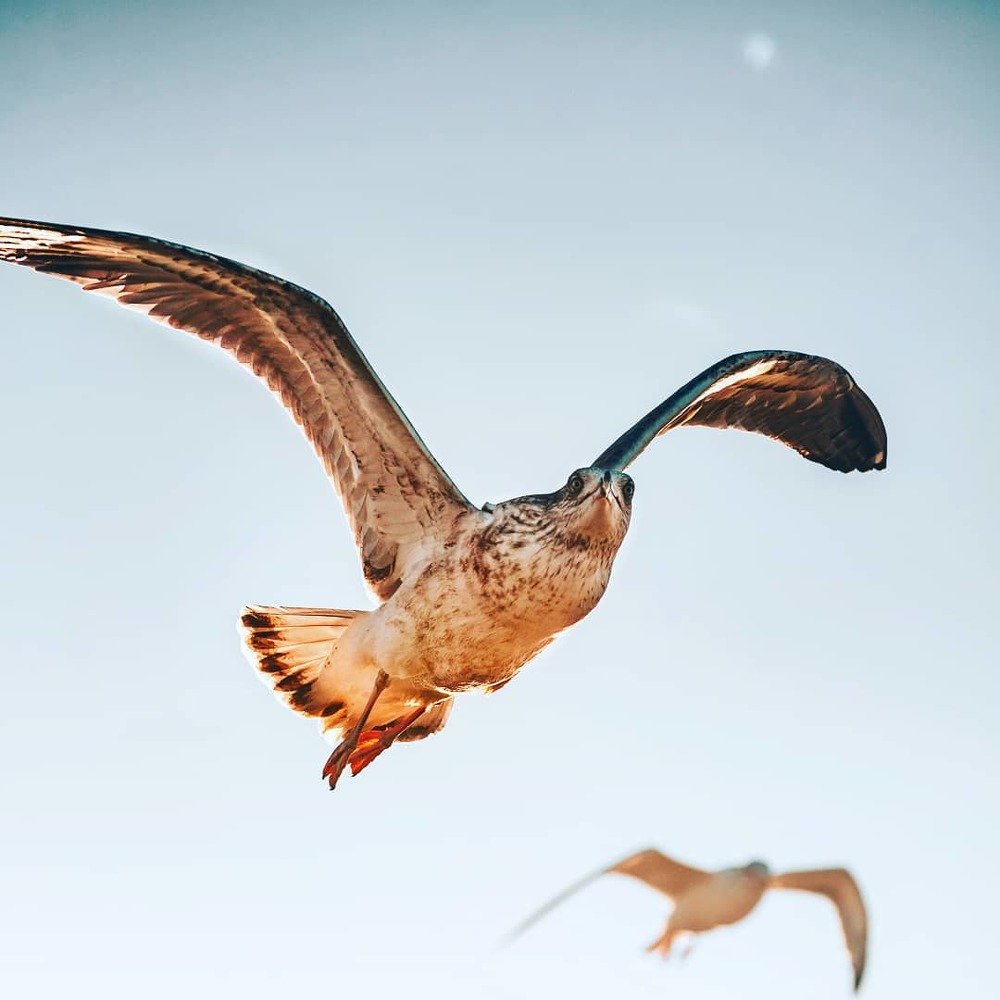 Photograph by jair stiven vargas duque