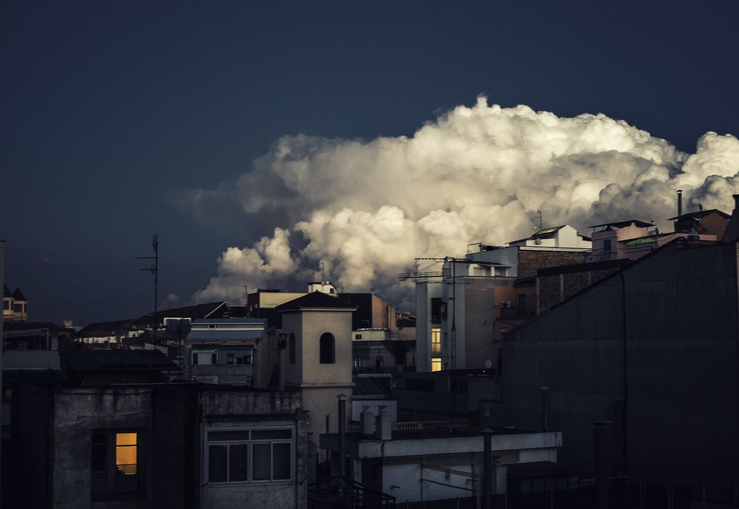Photo #4564047