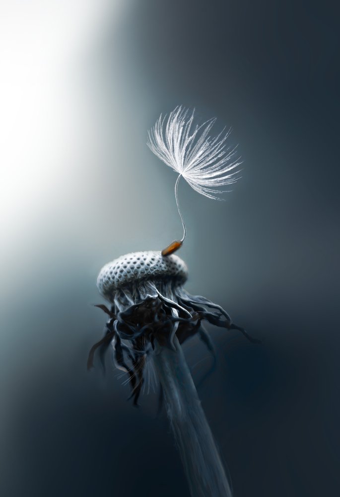 Photograph by Евгений Горланов