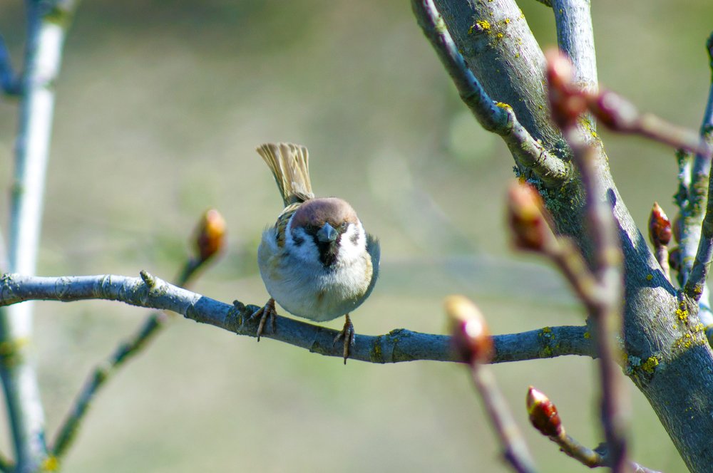 Фотография автора Артемий Николаевич