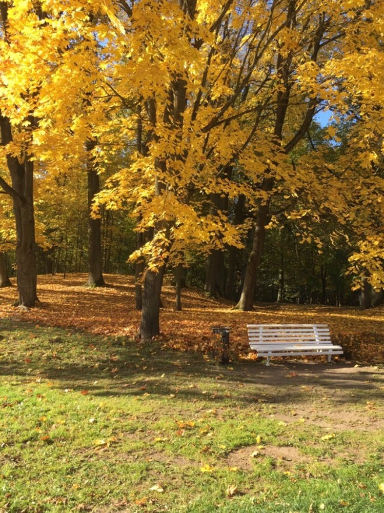 Осень - последняя, самая восхитительная улыбка года
