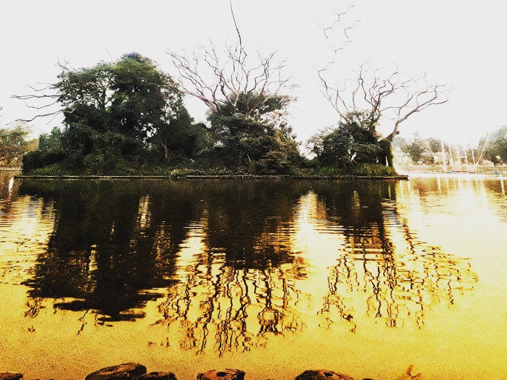 Photograph by Shalini Majumder