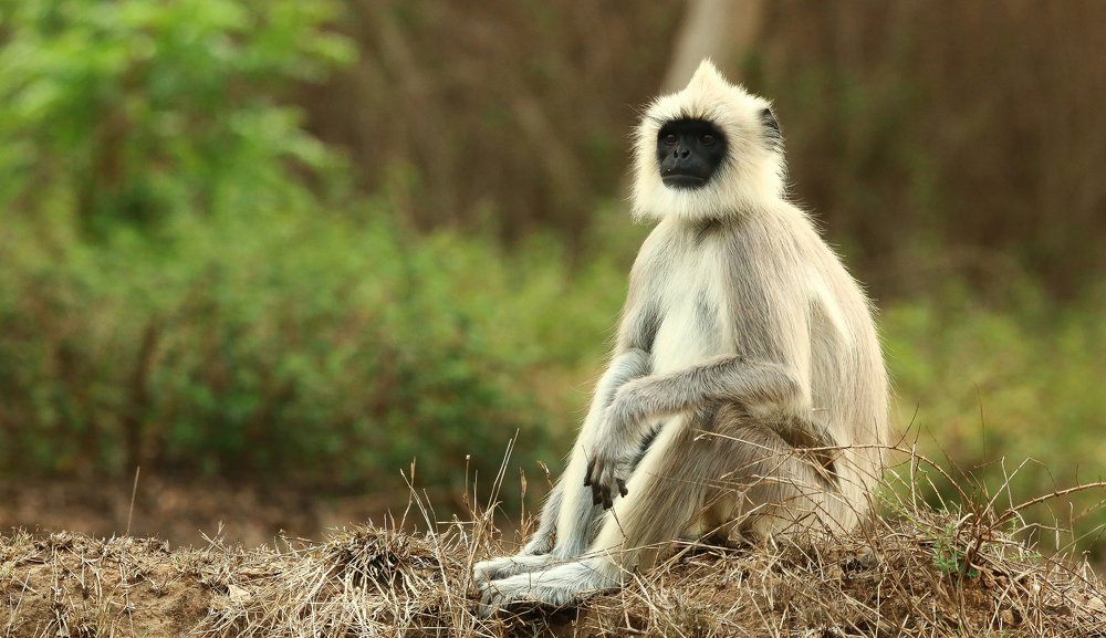 Photograph by Usman Ashkar