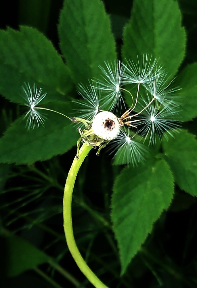 Photograph by Лада Денисова