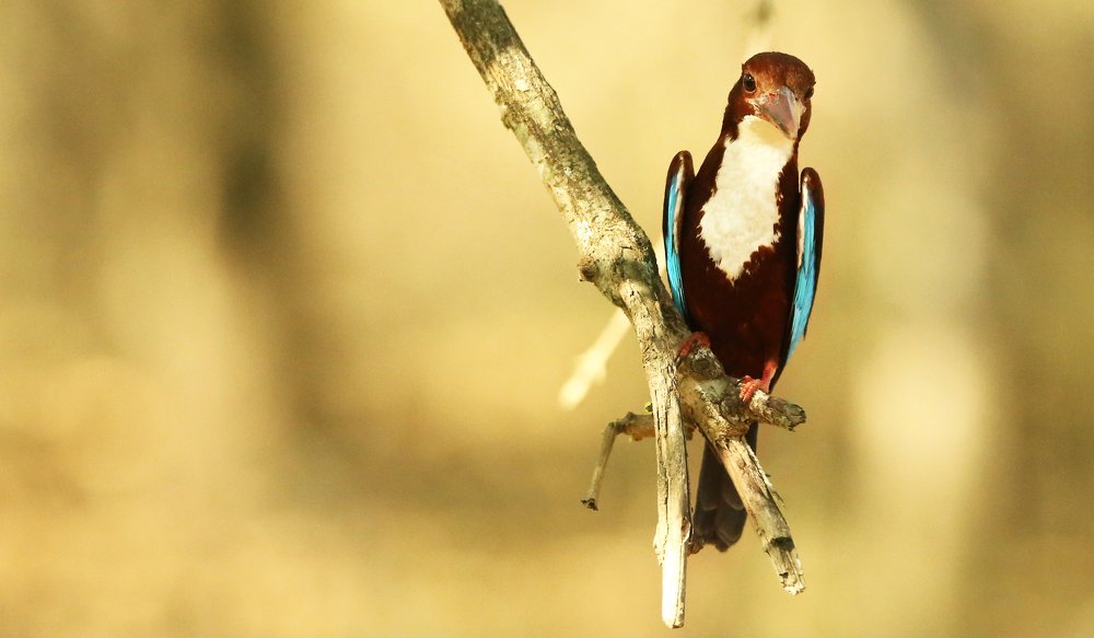 Photograph by Usman Ashkar