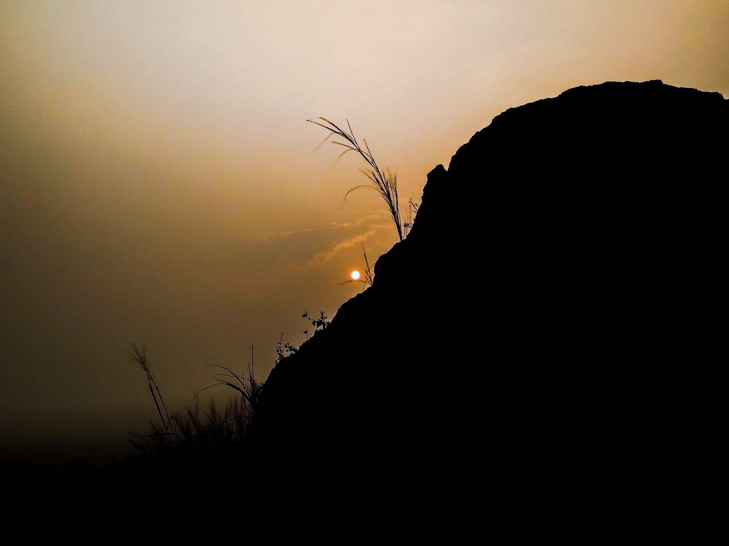 Photo #4564909