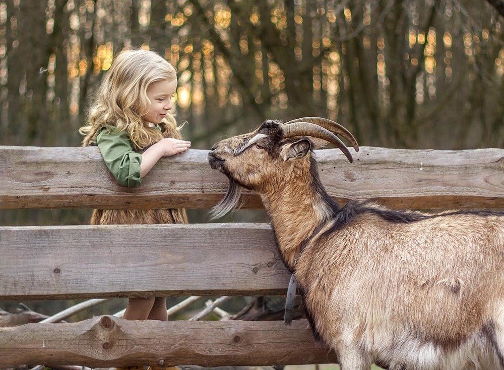 Photograph by Анастасия Козич