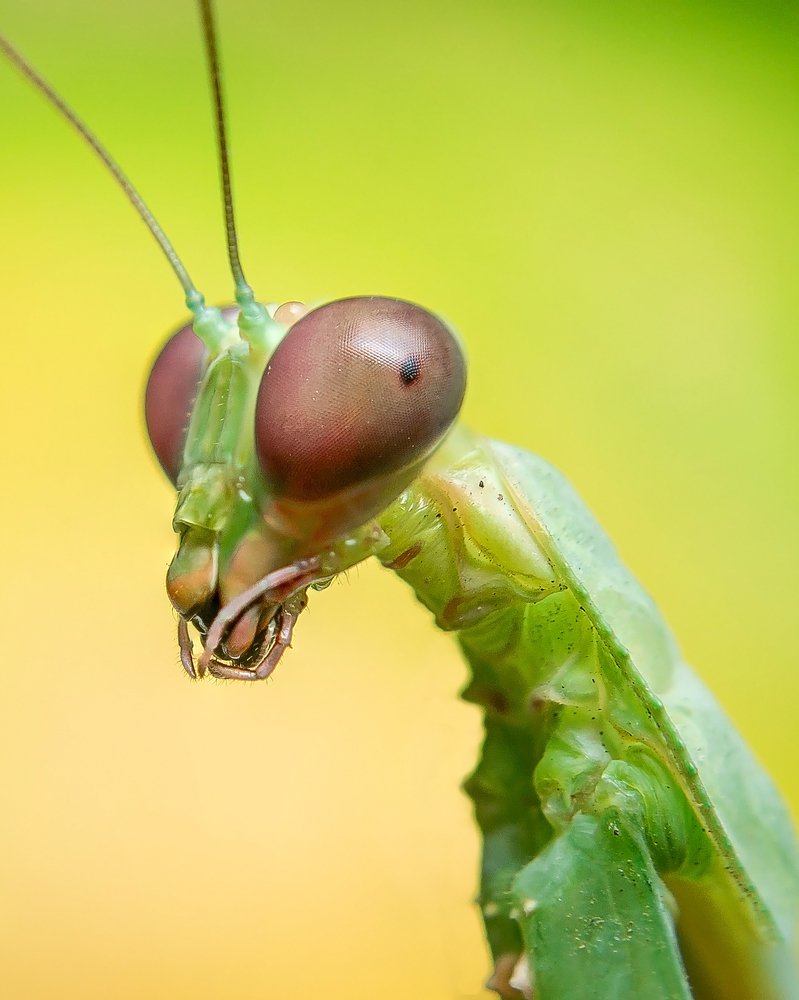 Photograph by Jerian Dale V. Figueroa