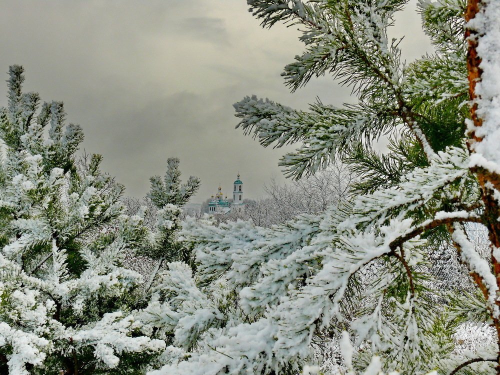 Фотография автора Анатолий Борисов