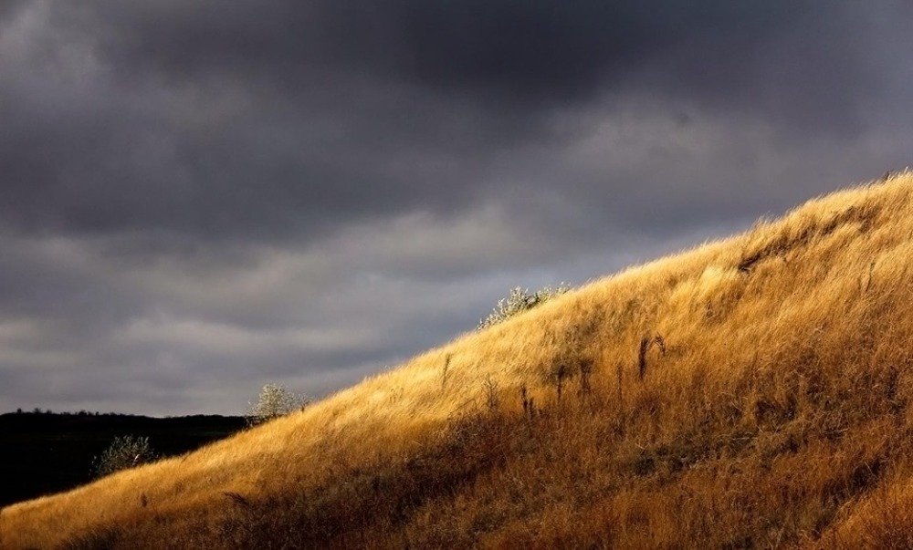 Перед грозой