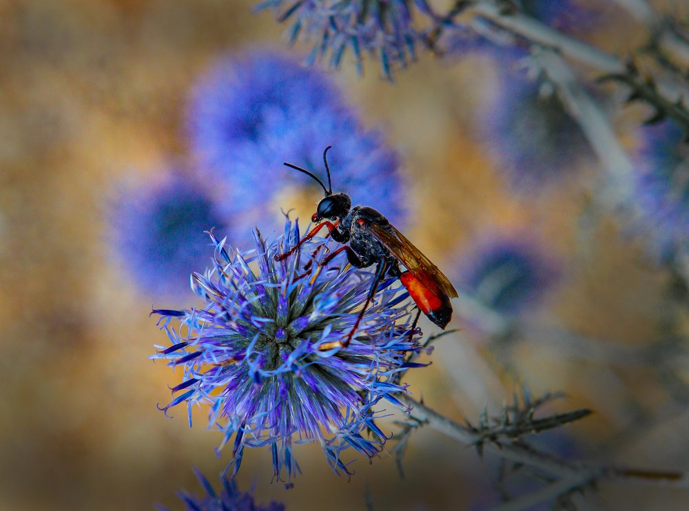 Photograph by петр чиков