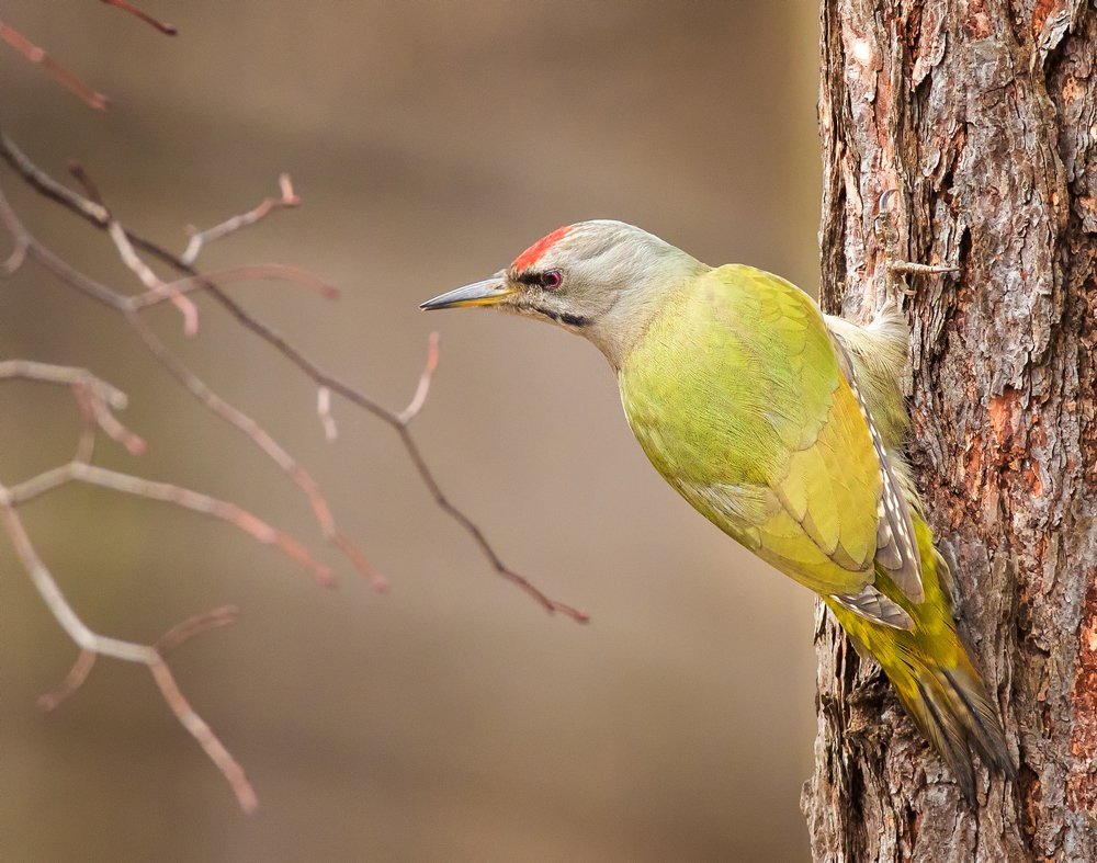 Photograph by Власов Егор