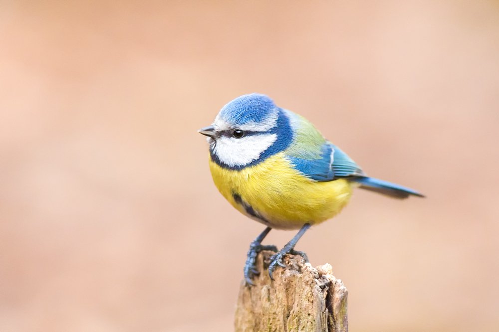 Photograph by Власов Егор