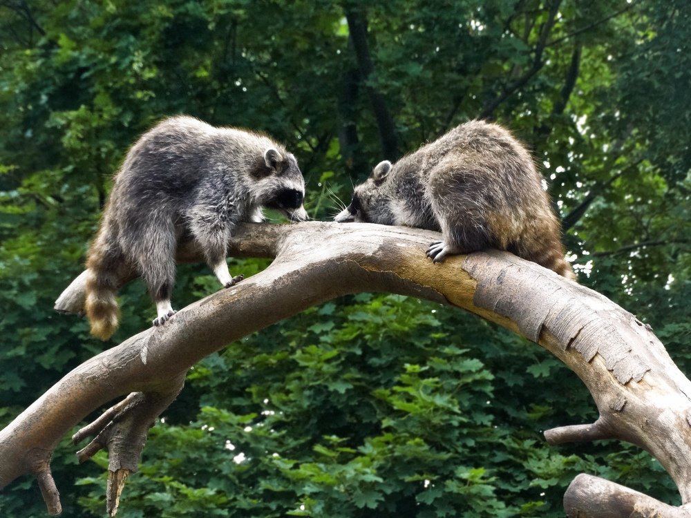 Photograph by Екатерина