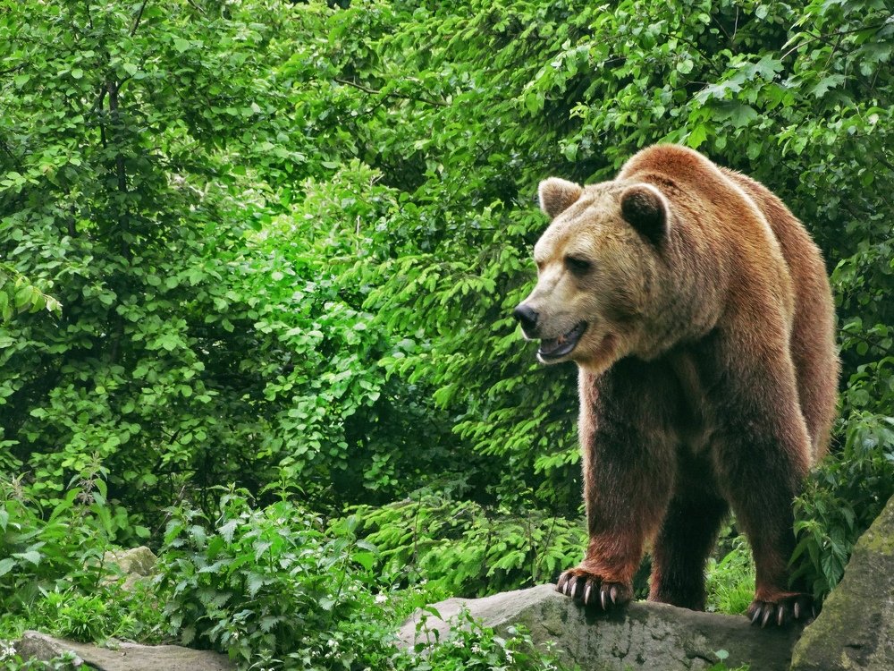 Photograph by Екатерина