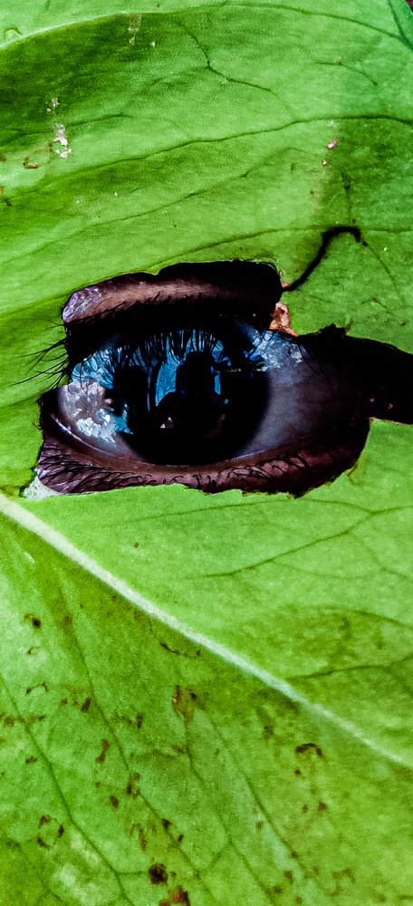Photograph by Sameer bohra