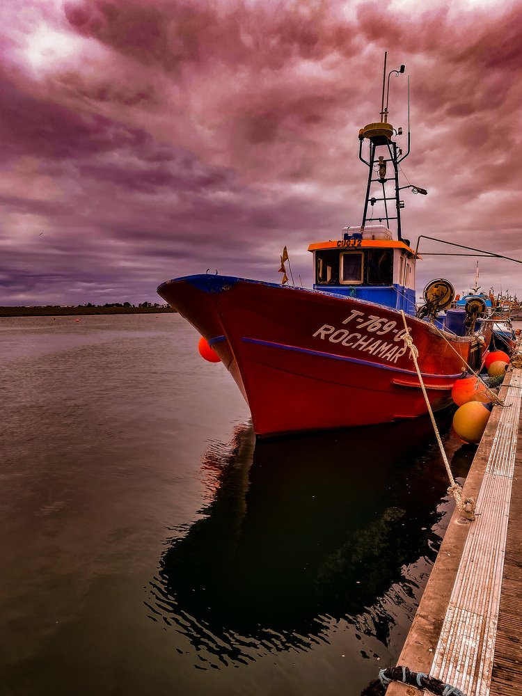 Photograph by Olga Pereira