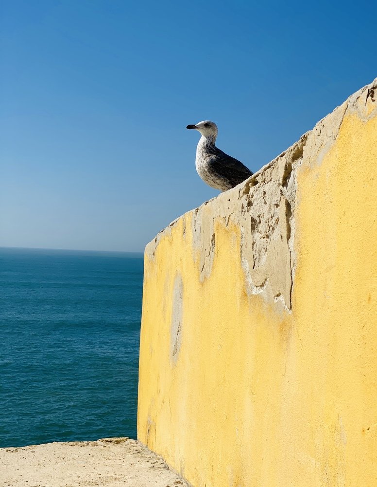 Photograph by Olga Pereira