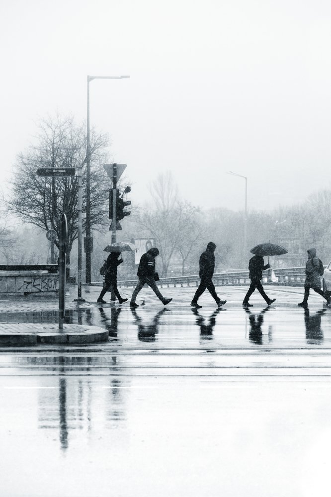 Фотография автора Ivelina Petkova