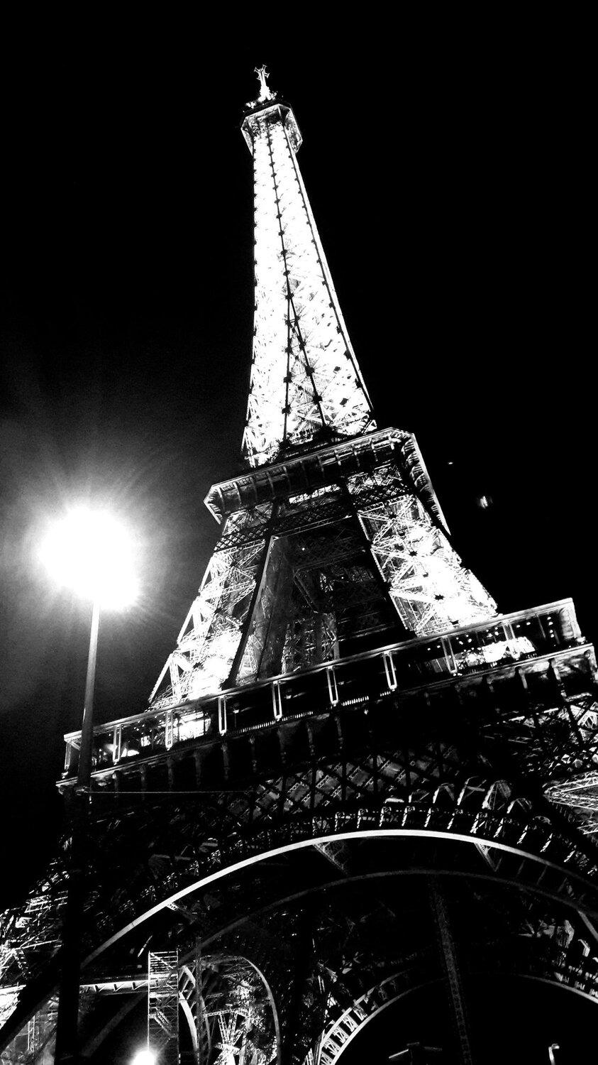 Photo #4565647