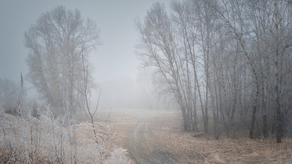 Фотография автора Evgeny Gerasimenko