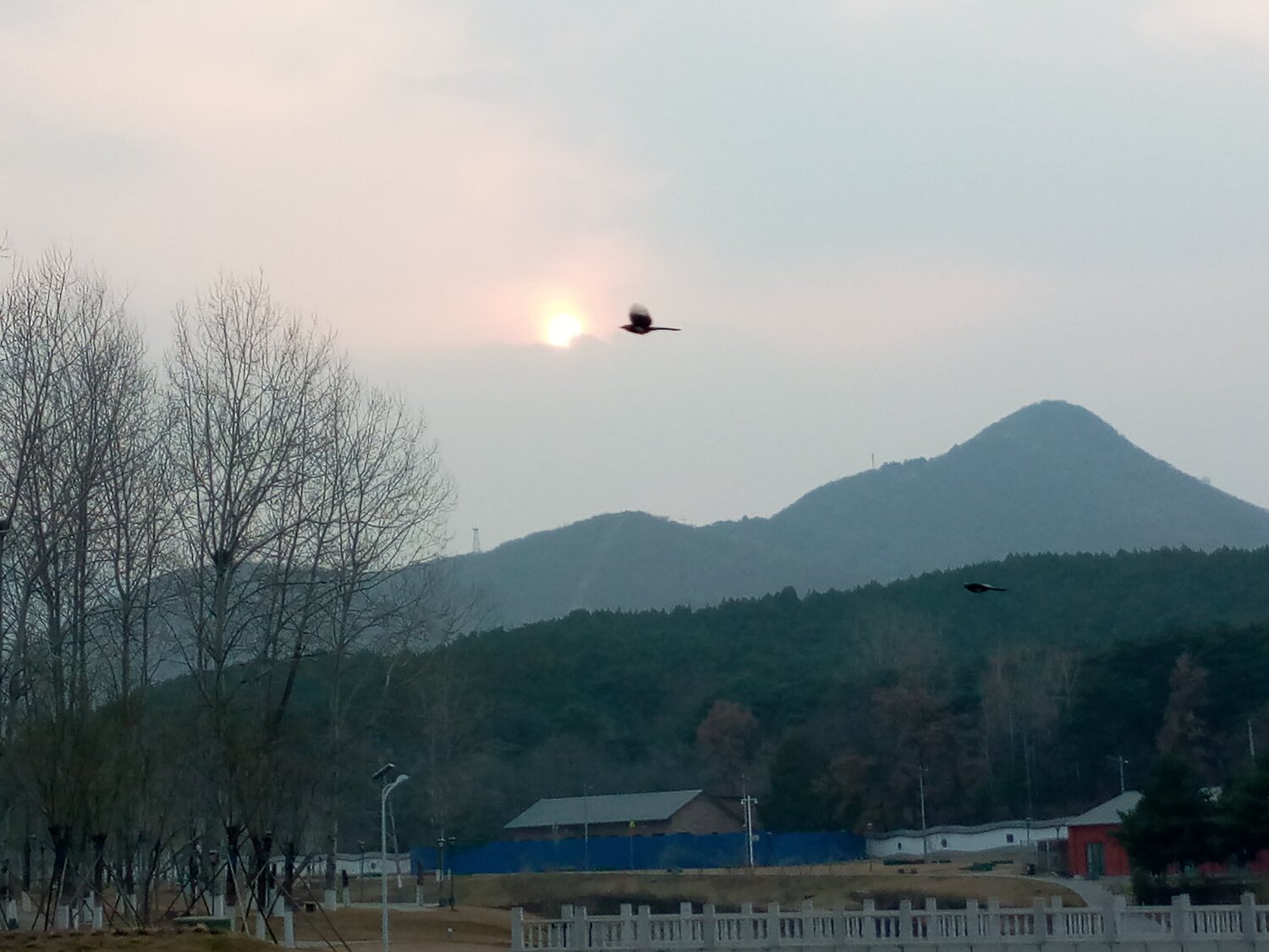 Photo #4565804