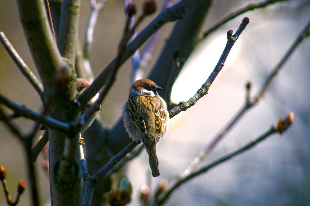 Фотография автора Артемий Николаевич