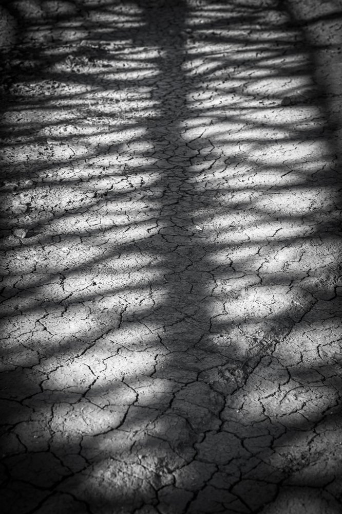 Photograph by Александр Фоменко